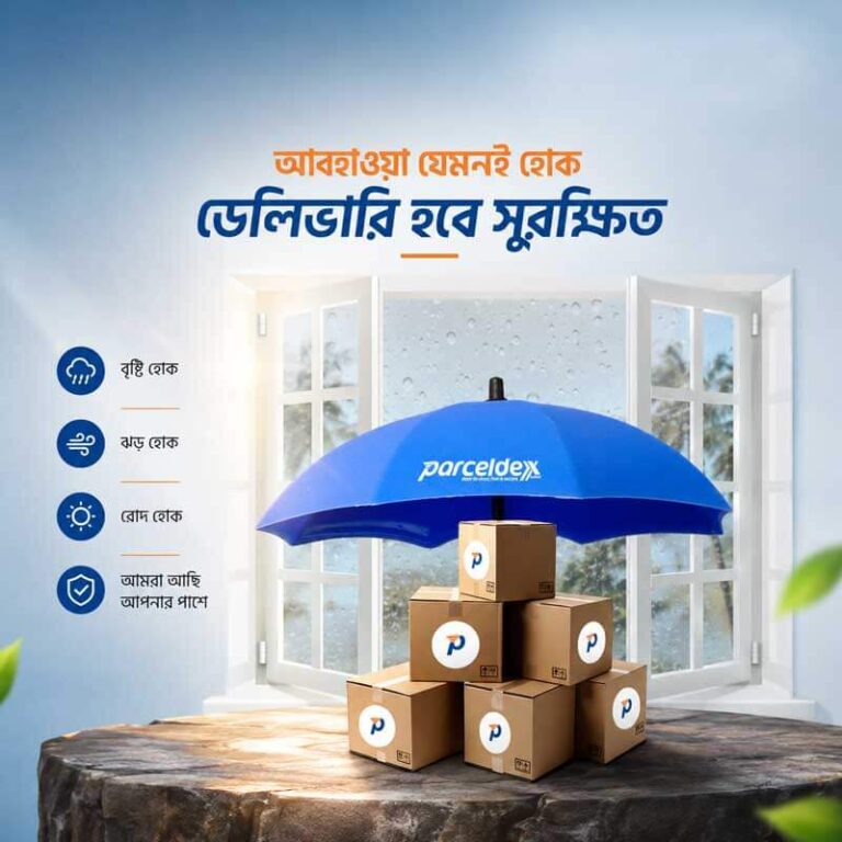 Saiful Studios- Logistics & delivery design
